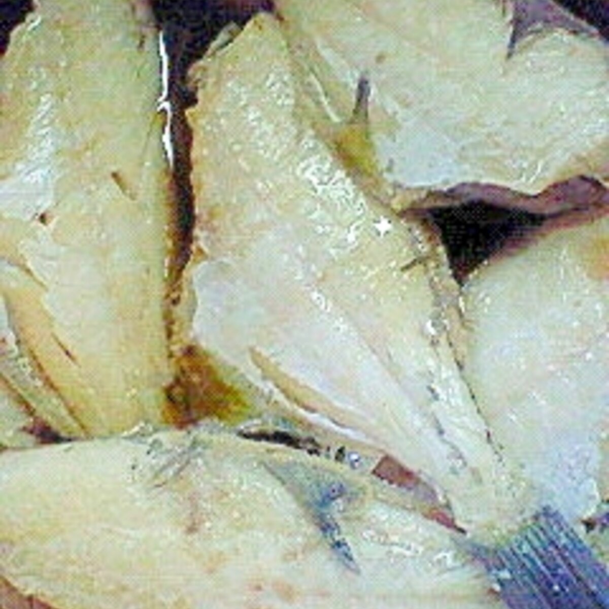 薄味 ネギ入りかわはぎの煮付け レシピ 作り方 By ぴぐ 楽天レシピ 薄味 ネギ入りかわはぎの煮付け レシピ 作り方 By ぴぐ 楽天レシピ